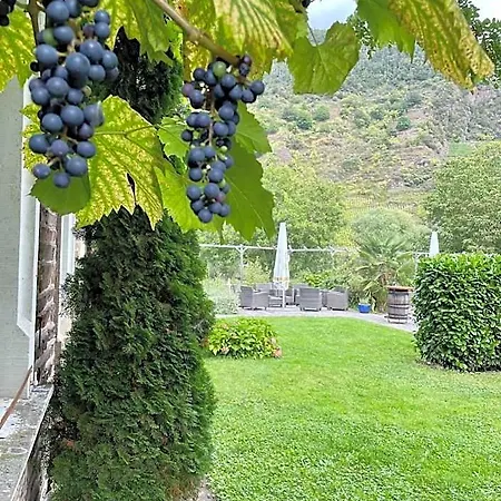 Altes Pfarrhaus Ξενοδοχείο 3*
